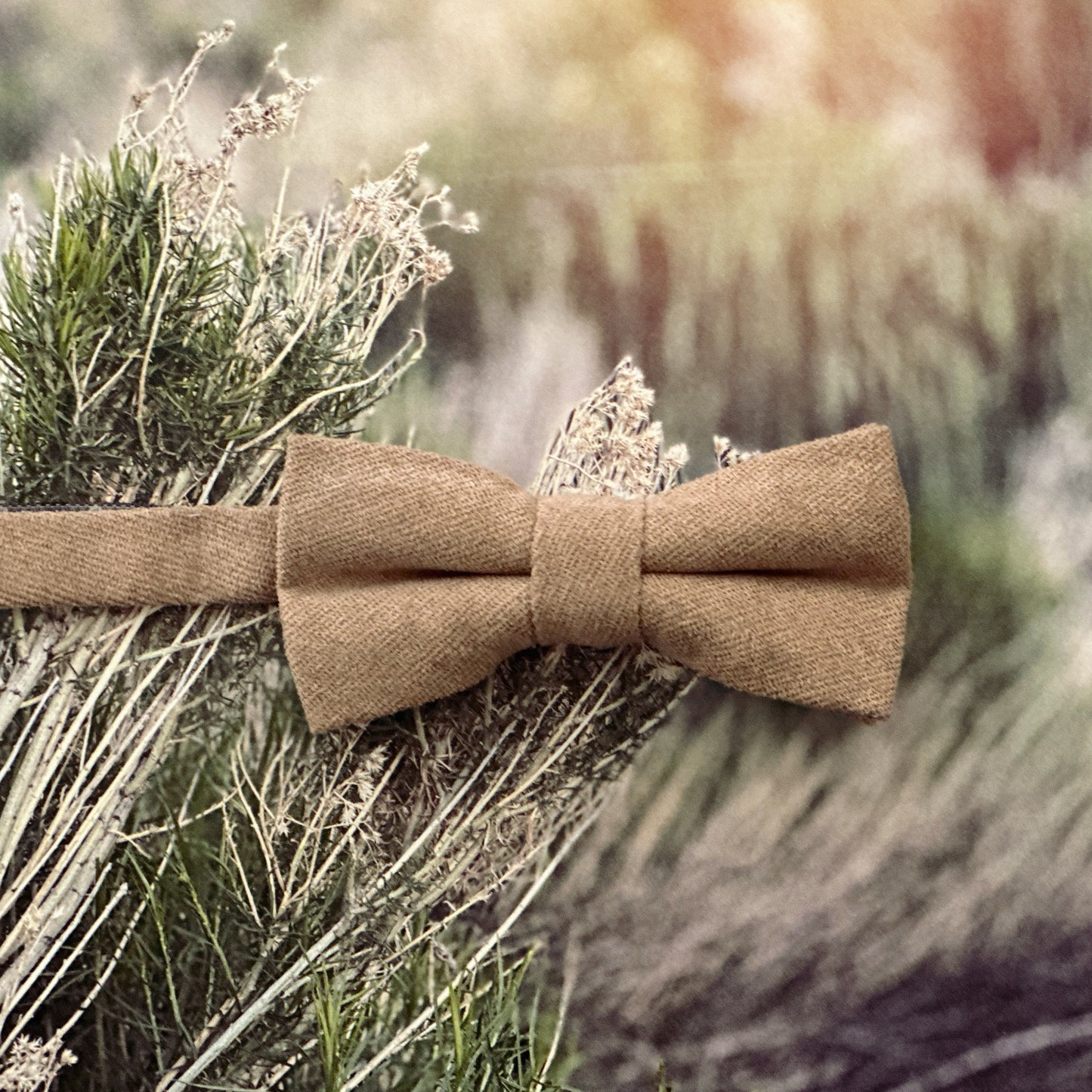 Cole Boys Bow Tie