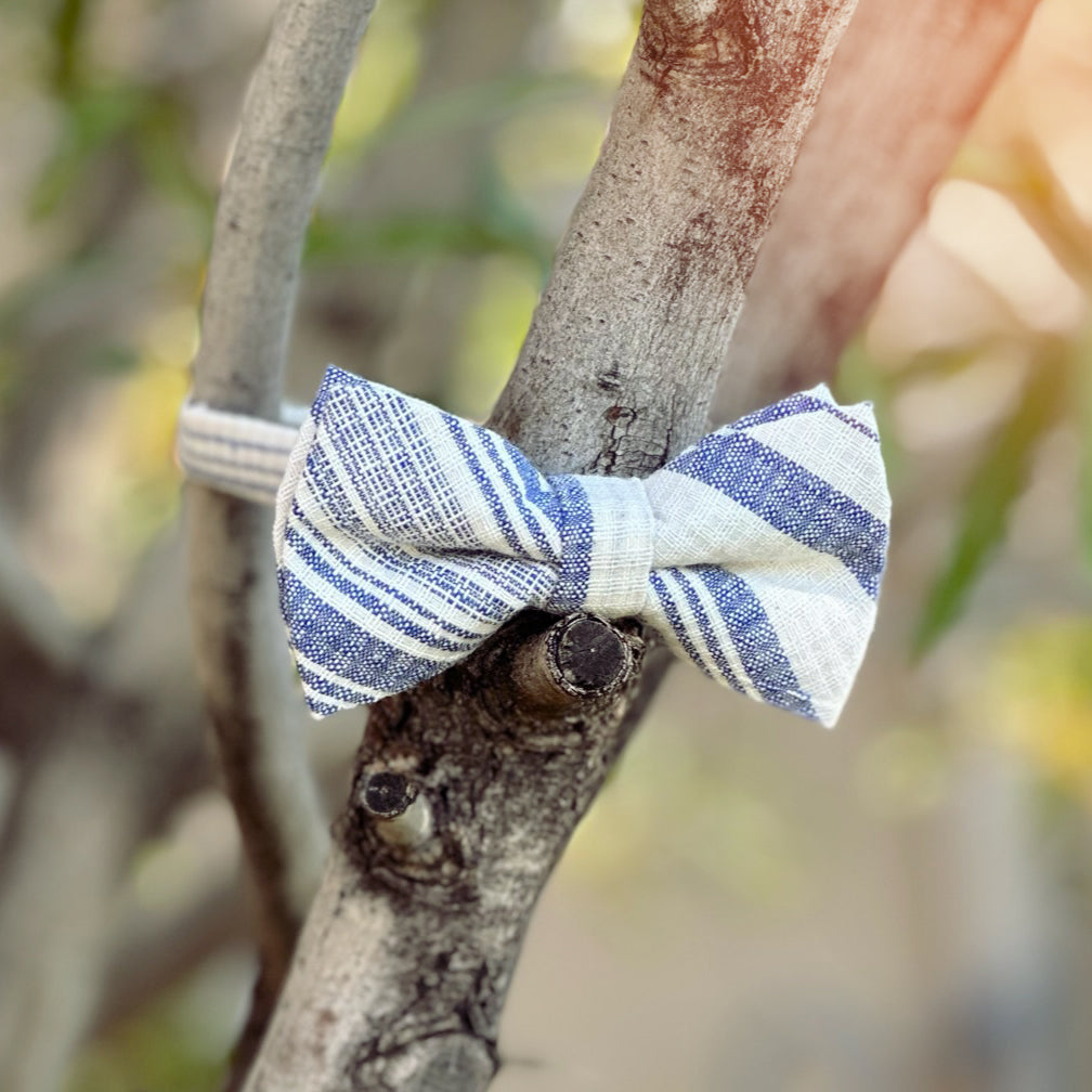 Grant Boys Bow Tie